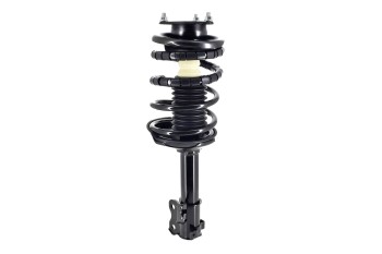 Suspension Strut and Coil Spring Assembly