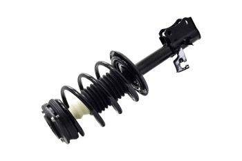 Suspension Strut and Coil Spring Assembly