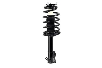 Suspension Strut and Coil Spring Assembly