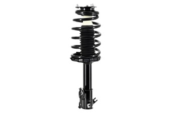 Suspension Strut and Coil Spring Assembly