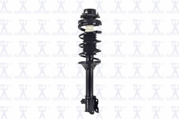 Suspension Strut and Coil Spring Assembly