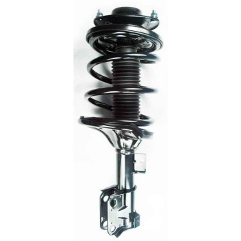 Suspension Strut and Coil Spring Assembly