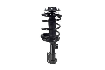 Suspension Strut and Coil Spring Assembly