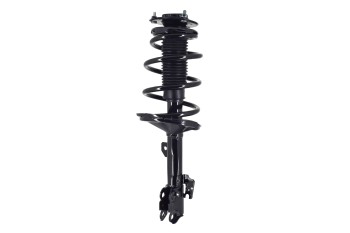 Suspension Strut and Coil Spring Assembly