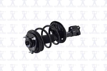 Suspension Strut and Coil Spring Assembly