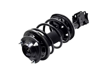 Suspension Strut and Coil Spring Assembly