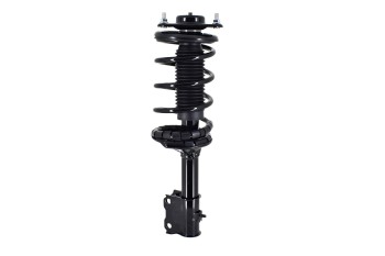 Suspension Strut and Coil Spring Assembly