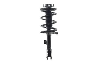 Suspension Strut and Coil Spring Assembly