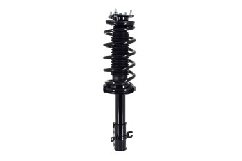 Suspension Strut and Coil Spring Assembly