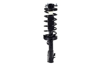 Suspension Strut and Coil Spring Assembly