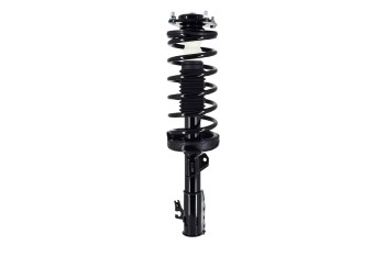 Suspension Strut and Coil Spring Assembly