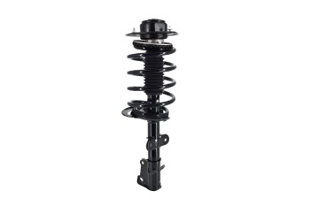 Suspension Strut and Coil Spring Assembly