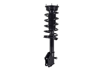 Suspension Strut and Coil Spring Assembly