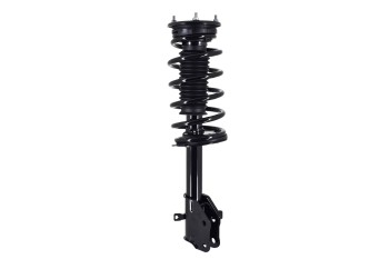 Suspension Strut and Coil Spring Assembly