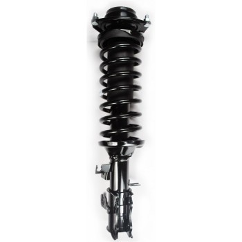 Suspension Strut and Coil Spring Assembly