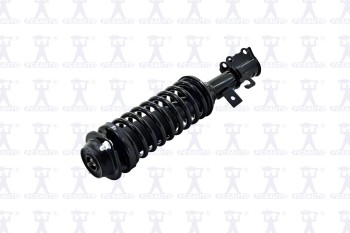 Suspension Strut and Coil Spring Assembly