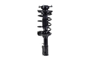 Suspension Strut and Coil Spring Assembly