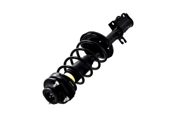 Suspension Strut and Coil Spring Assembly