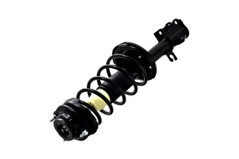 Suspension Strut and Coil Spring Assembly