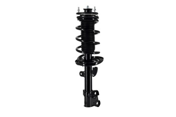 Suspension Strut and Coil Spring Assembly