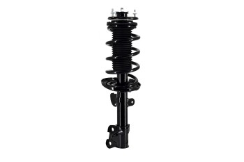 Suspension Strut and Coil Spring Assembly