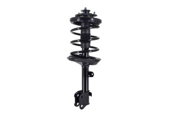 Suspension Strut and Coil Spring Assembly