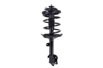 Suspension Strut and Coil Spring Assembly