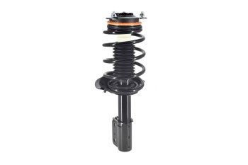 Suspension Strut and Coil Spring Assembly