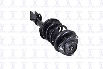 Suspension Strut and Coil Spring Assembly