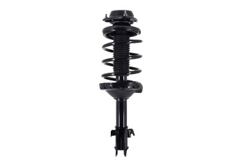 Suspension Strut and Coil Spring Assembly
