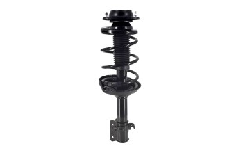 Suspension Strut and Coil Spring Assembly