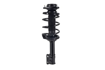 Suspension Strut and Coil Spring Assembly