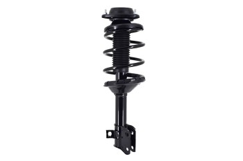 Suspension Strut and Coil Spring Assembly