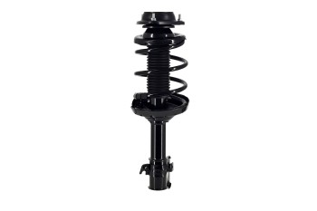 Suspension Strut and Coil Spring Assembly