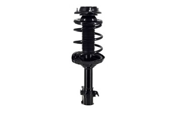 Suspension Strut and Coil Spring Assembly