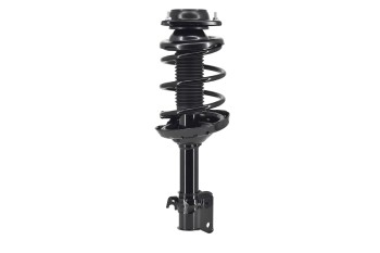 Suspension Strut and Coil Spring Assembly
