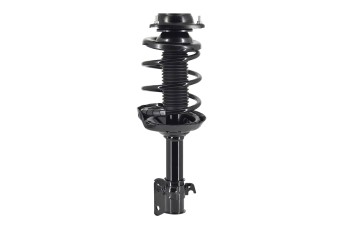 Suspension Strut and Coil Spring Assembly