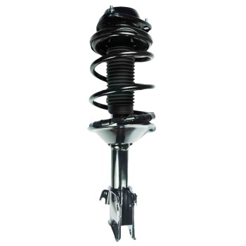 Suspension Strut and Coil Spring Assembly