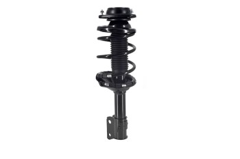 Suspension Strut and Coil Spring Assembly