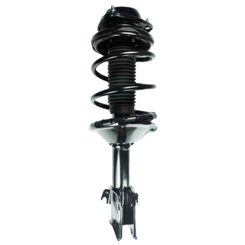 Suspension Strut and Coil Spring Assembly