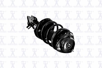 Suspension Strut and Coil Spring Assembly