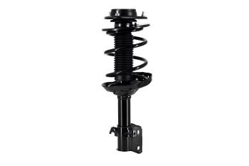 Suspension Strut and Coil Spring Assembly