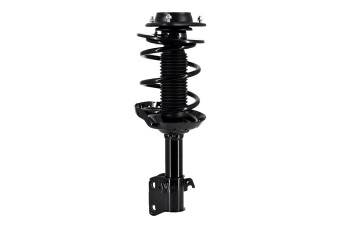 Suspension Strut and Coil Spring Assembly