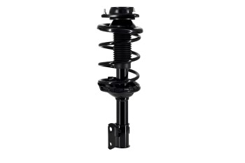 Suspension Strut and Coil Spring Assembly