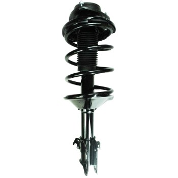 Suspension Strut and Coil Spring Assembly