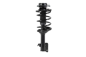Suspension Strut and Coil Spring Assembly