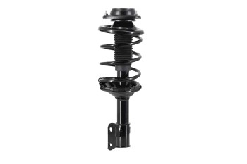 Suspension Strut and Coil Spring Assembly