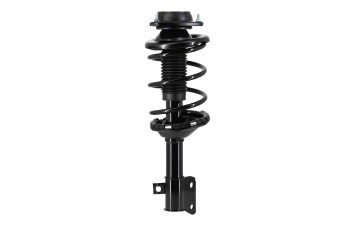 Suspension Strut and Coil Spring Assembly