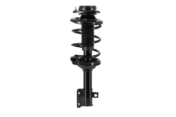 Suspension Strut and Coil Spring Assembly