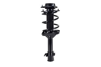 Suspension Strut and Coil Spring Assembly